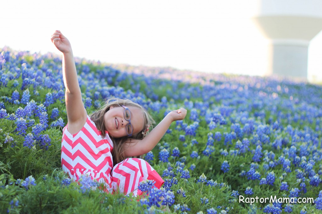 bluebonnets