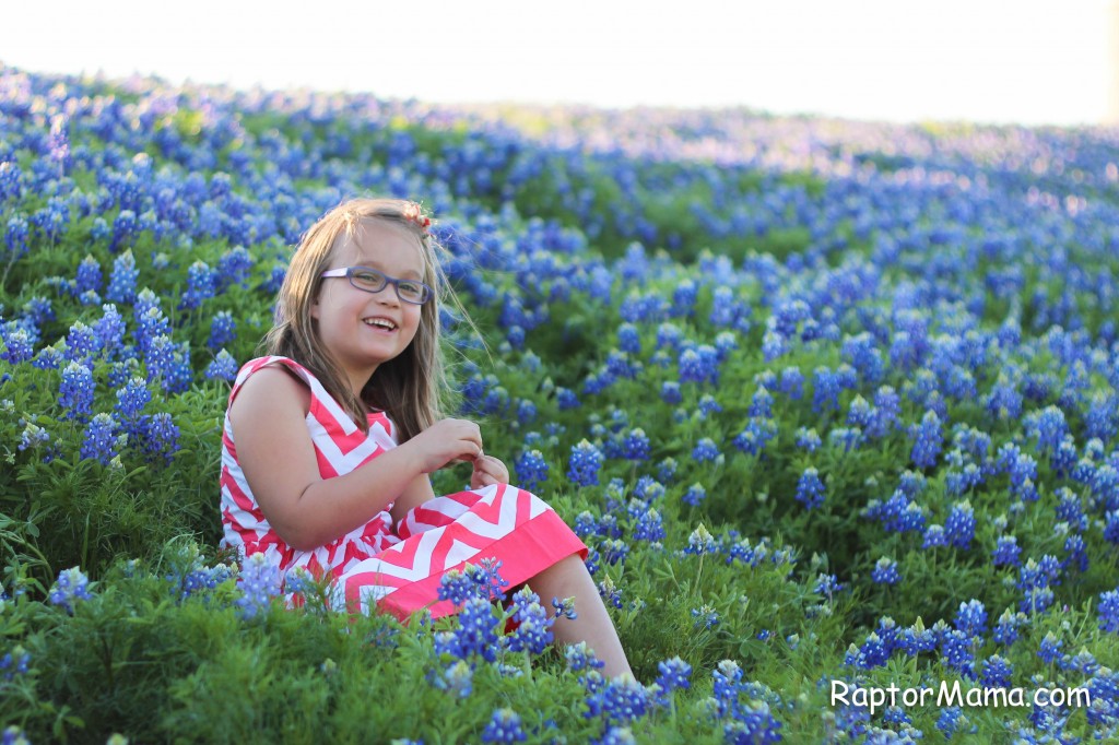 bluebonnets-2